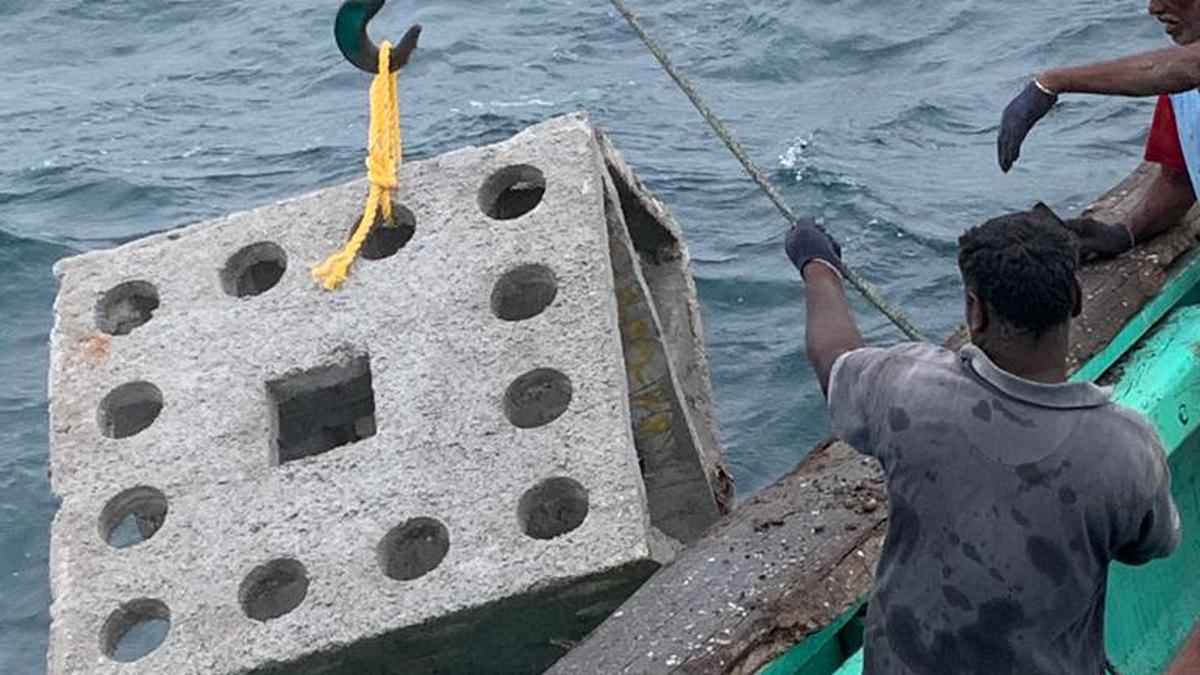 Artificial reefs to be deployed in 3,477 fishing villages in India with ... Biology Diagrams